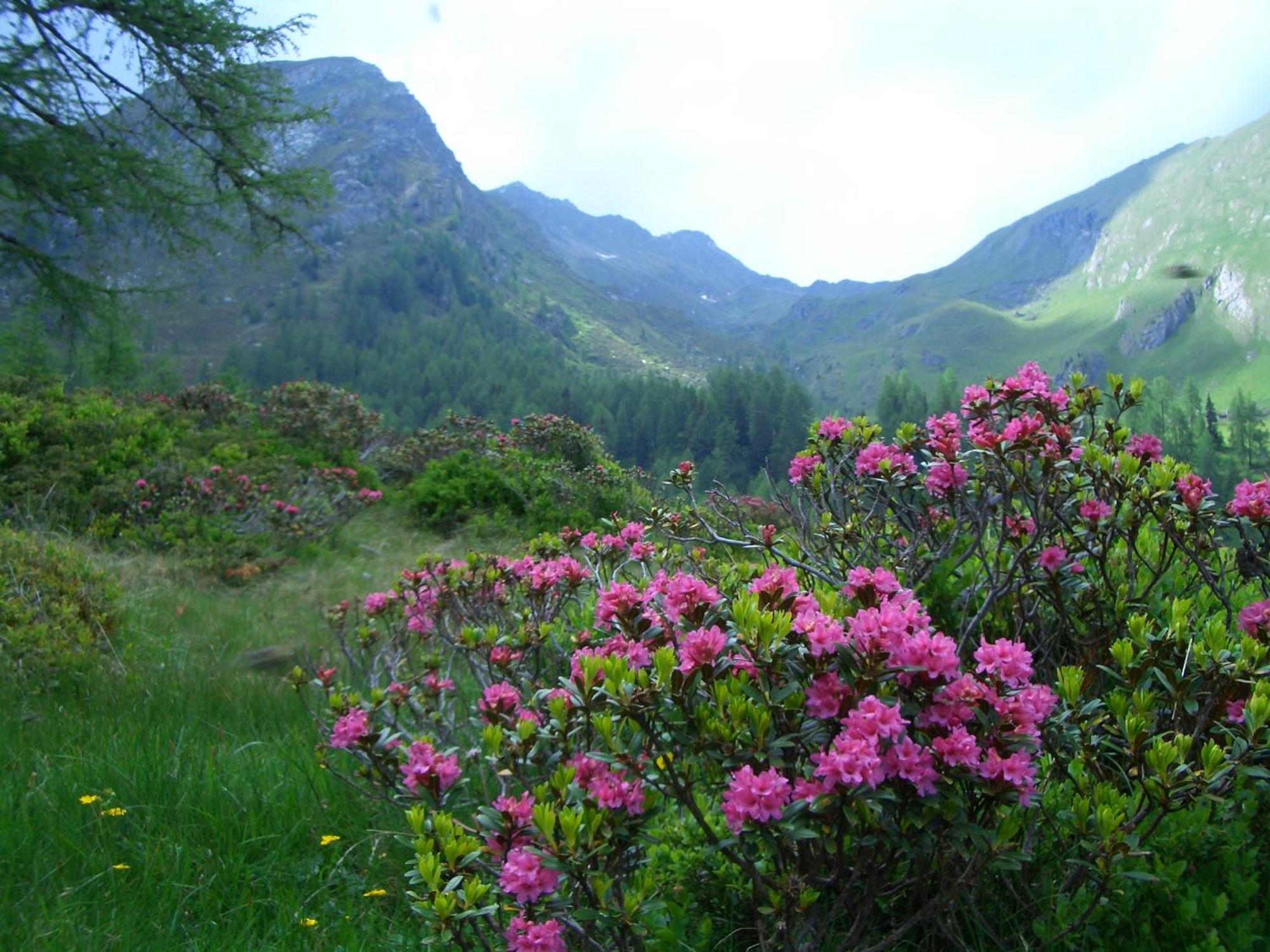 Appartementhaus Flattach Goritschnig Bagian luar foto